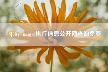 潍坊执行信息公开网查询免费