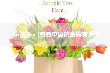 潍坊看看中国的金牌有多少